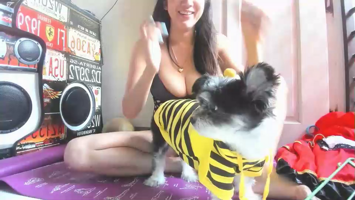 xdreamangel