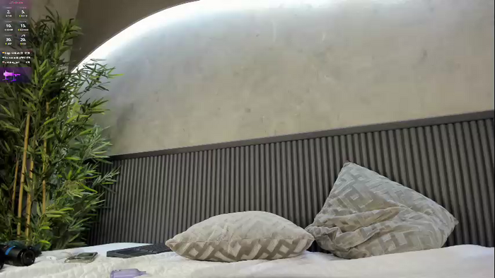 palmer_jones