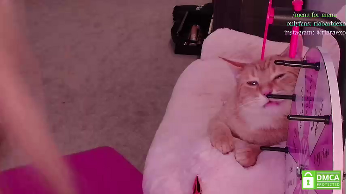 riababe