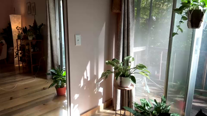 emersoncane