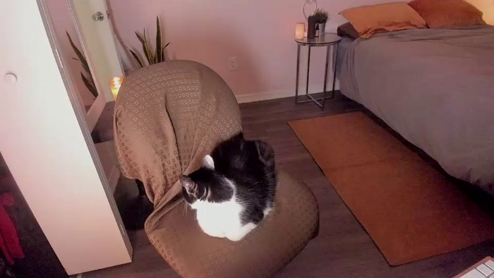 katekacao