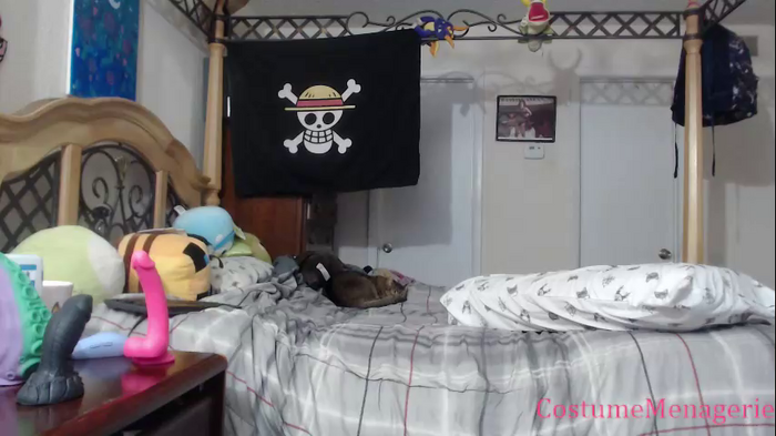 costumemenagerie