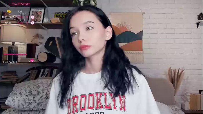 riskyproject