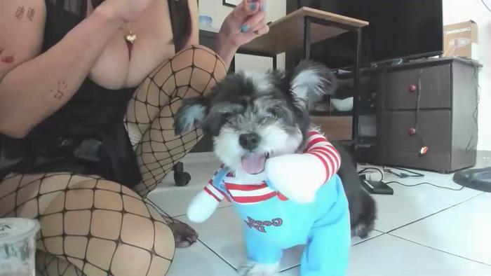 xdreamangel