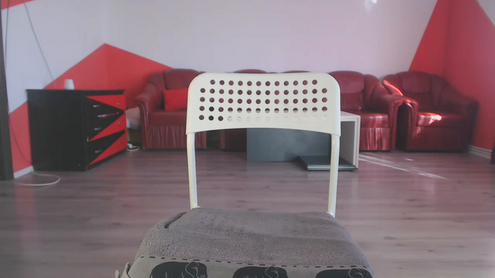 insanephisique