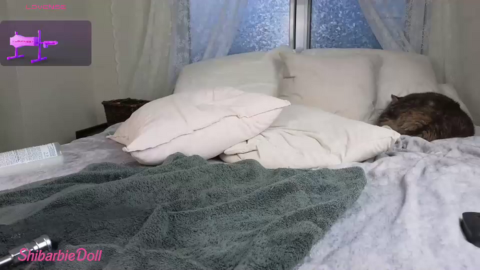 shibarbiedoll