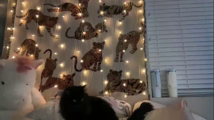 ari_02
