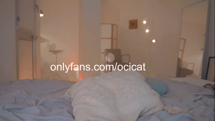 ocicat