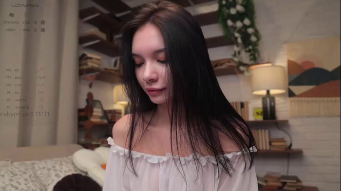 riskyproject