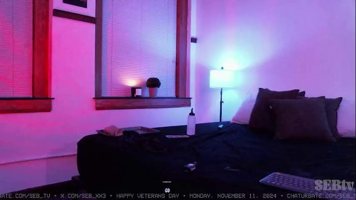 seb_tv