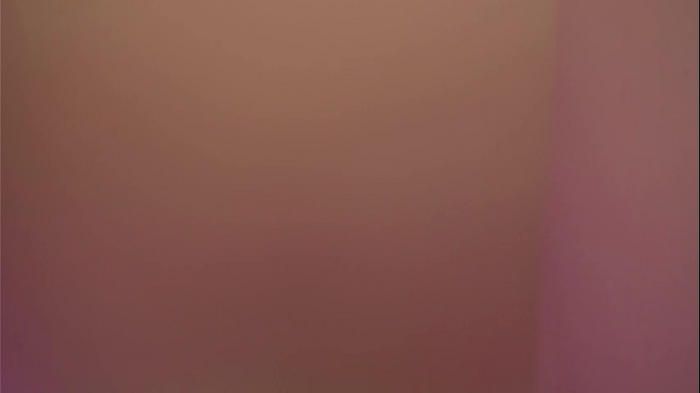 stella_shock