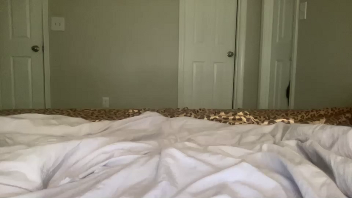 heyyitsemilyy