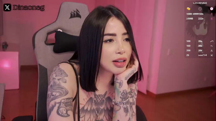 dinaoneg