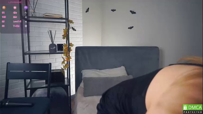 vibe_house