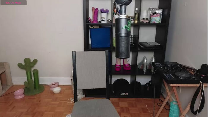 alexa_dream
