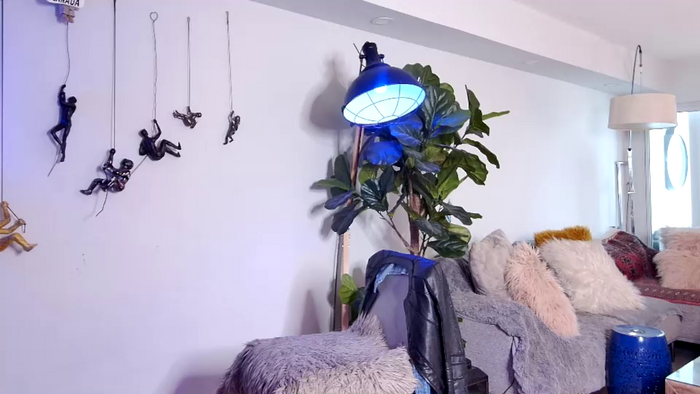 persianangel