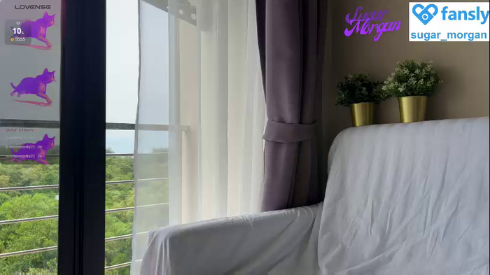 sugar_morgan