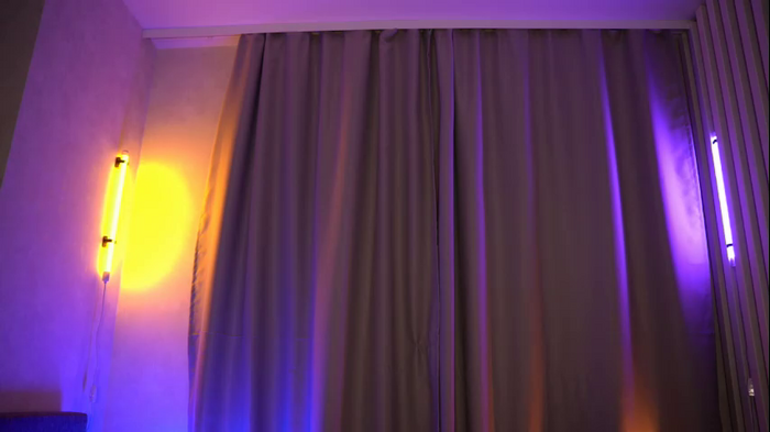 elisa_moon