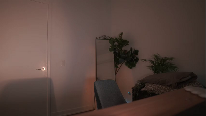 letiziafulkers1