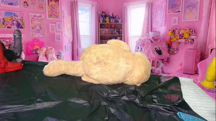 siswet19