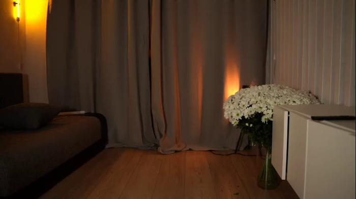 elisa_moon