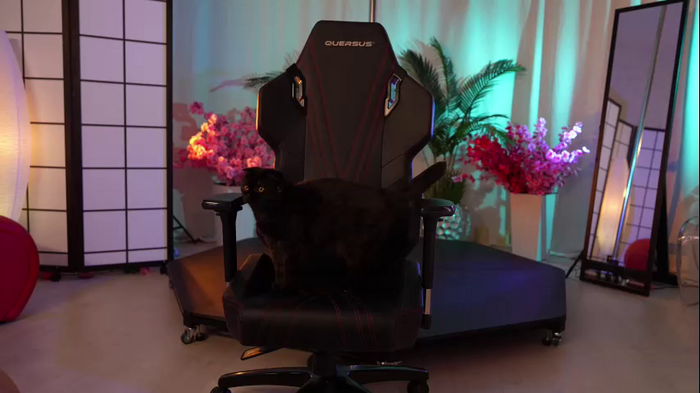 kittycaitlin