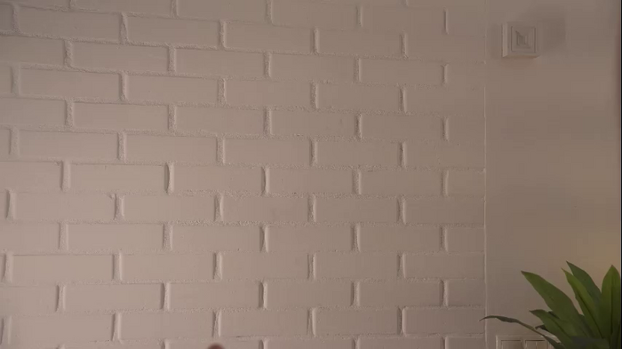 alissa_wxw