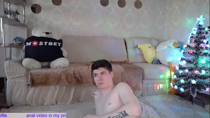 _pretty_fox_