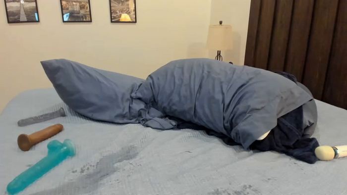 carliescott_meow