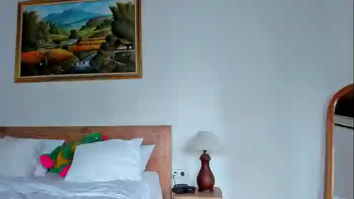 2024/12/12/chaturbate-eleonora_linn_-05-45-42