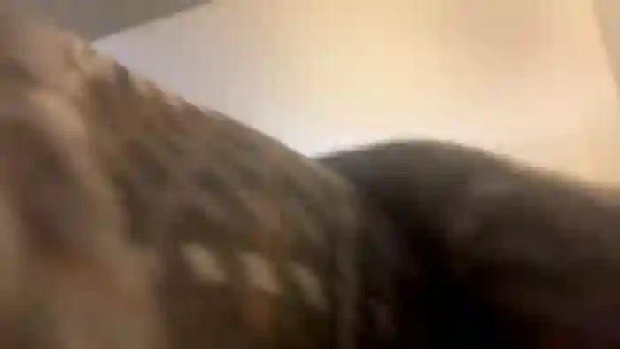 2024/12/12/chaturbate-high3ndlowlife-17-02-12
