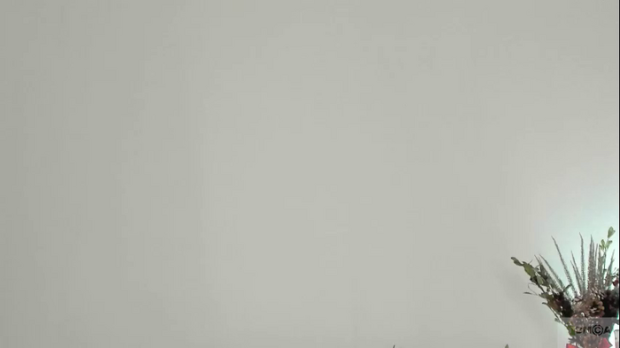 violetta_finch