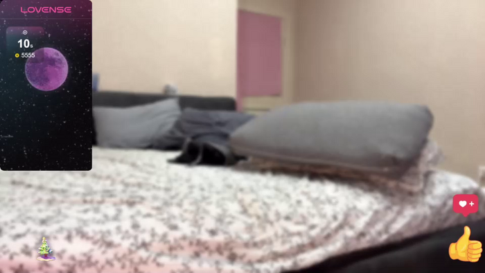 meowalice1