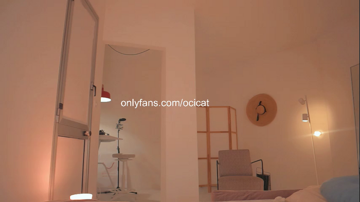 ocicat