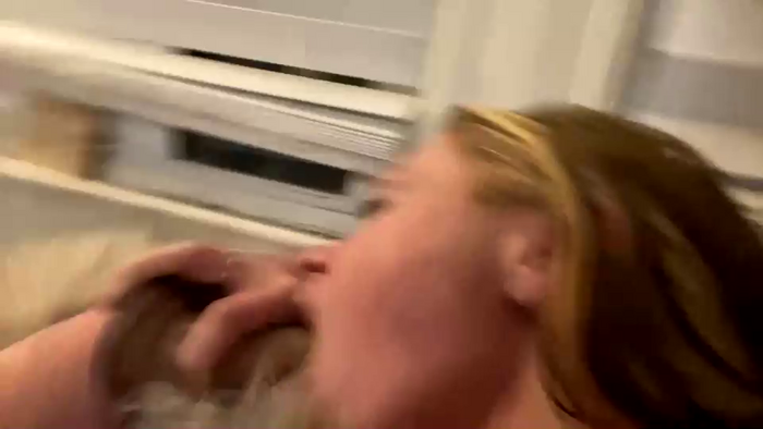 xavaxrexy