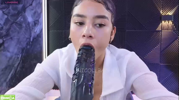 nicollbashel