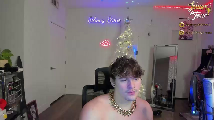 thejohnnystone