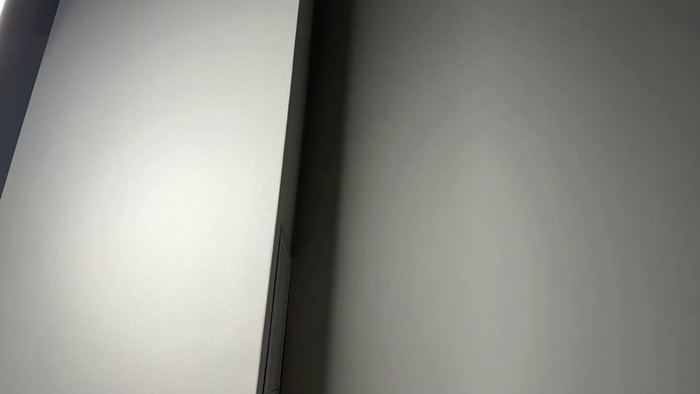 elisa_moon