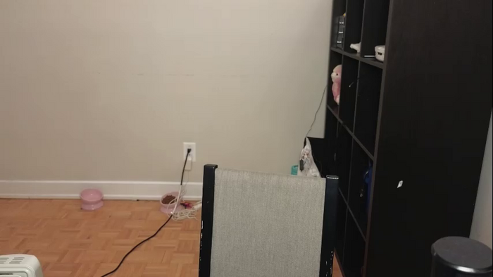 alexa_dream