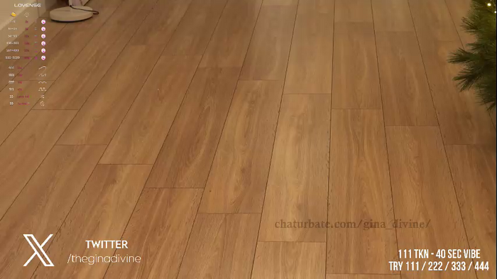 gina_divine