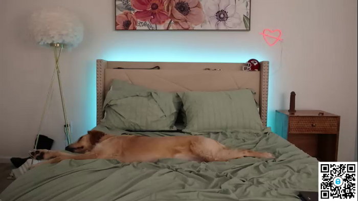 ari_lovexo