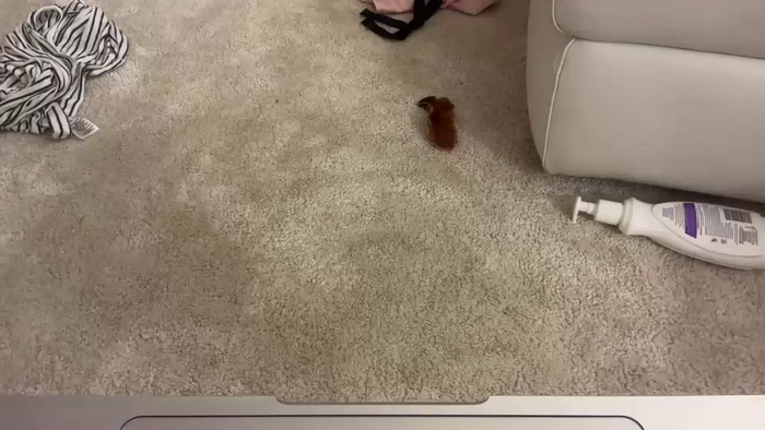 sarah_heart_aus
