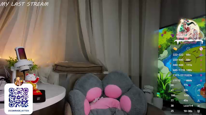 meow_non_stop