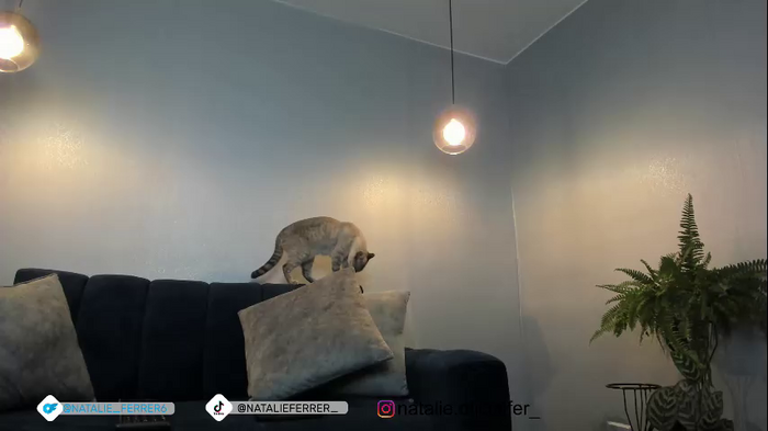 natalieferrer_
