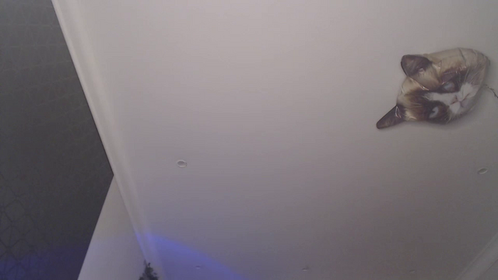 hello_imkitty