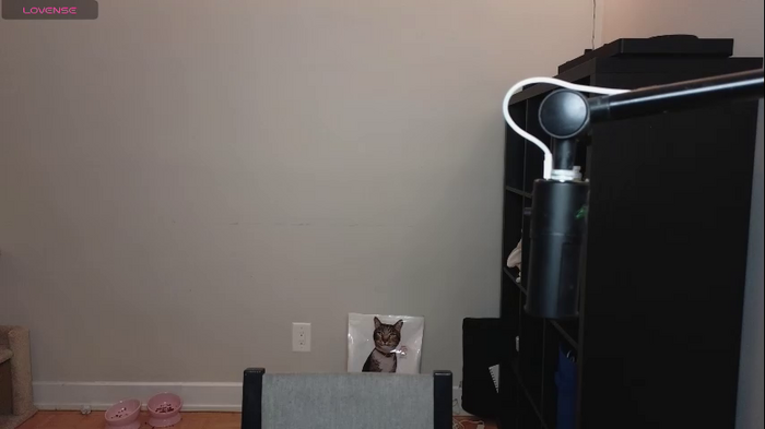 alexa_dream