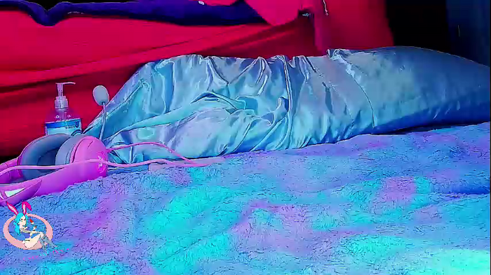 cottontailmonroe