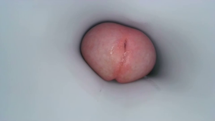 jeffrodgerschaturbat