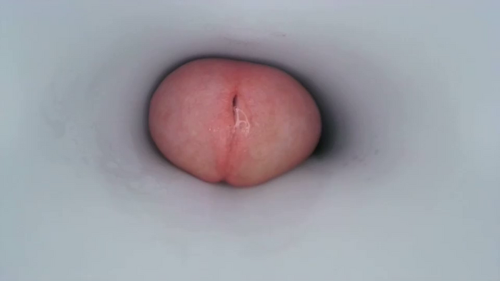 jeffrodgerschaturbat