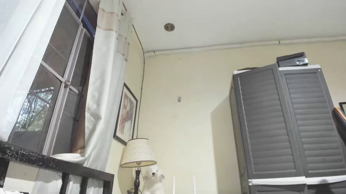 xdreamangel